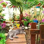 Margaritas' Apartman Ájosz Górdiosz