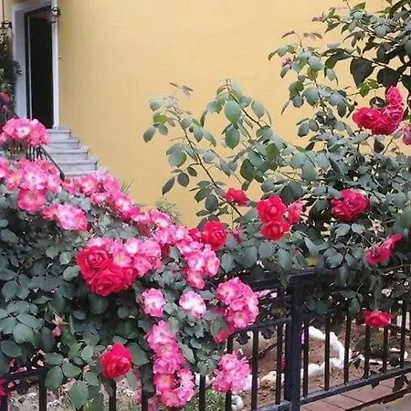 Apartmán Margaritas' Agios Gordios (Corfu)