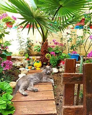 Margaritas' Apartmán Agios Gordios (Corfu)